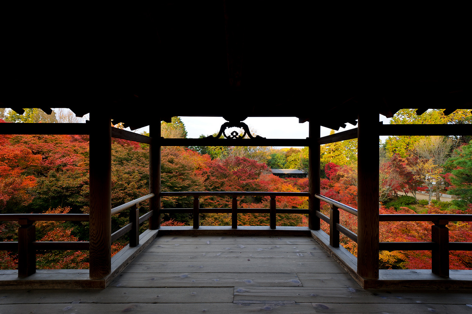 從通天橋看到的紅葉景色。 柱子作為相框的構圖太有名了